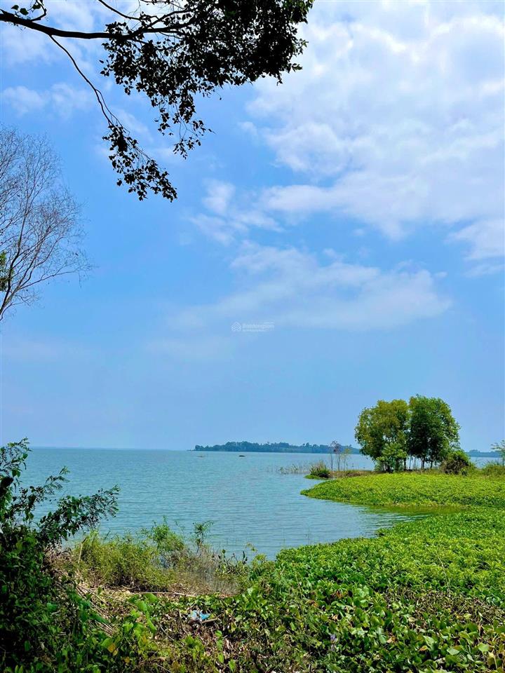 Đất vườn nghỉ dưỡng ngay mặt hồ trị an thở mộng  sẵn vườn cây ăn trái  đường betong rộng rãi