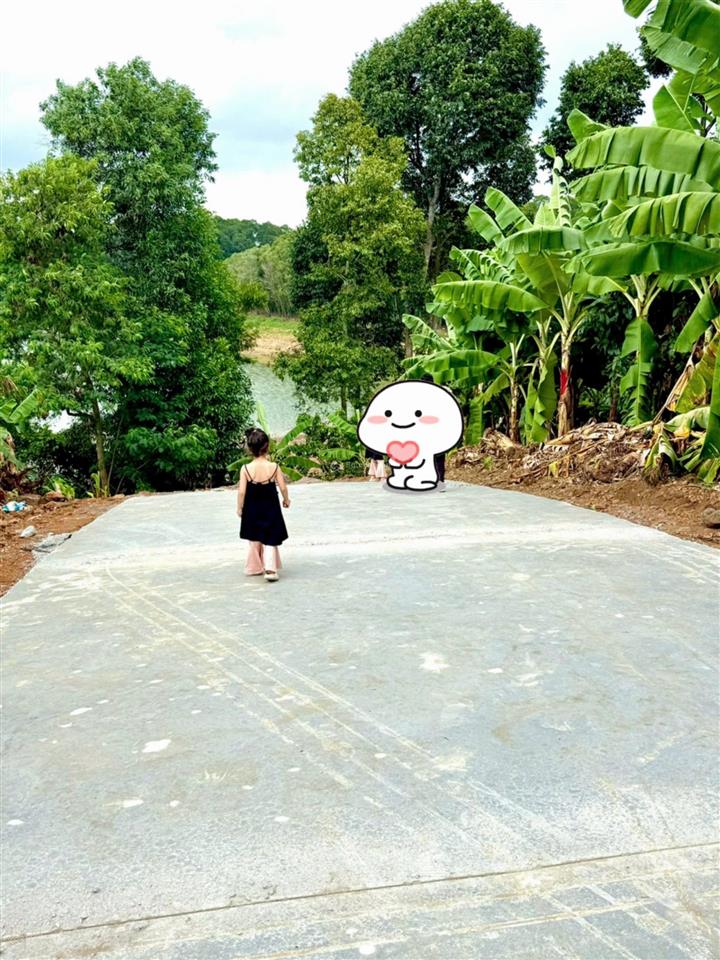 Đất vườn nghỉ dưỡng ngay mặt hồ trị an thở mộng  sẵn vườn cây ăn trái  đường betong rộng rãi