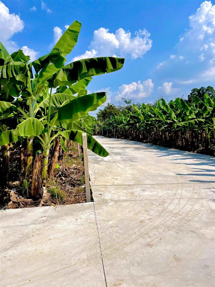 Đất vườn nghỉ dưỡng ngay mặt hồ trị an thở mộng  sẵn vườn cây ăn trái  đường betong rộng rãi