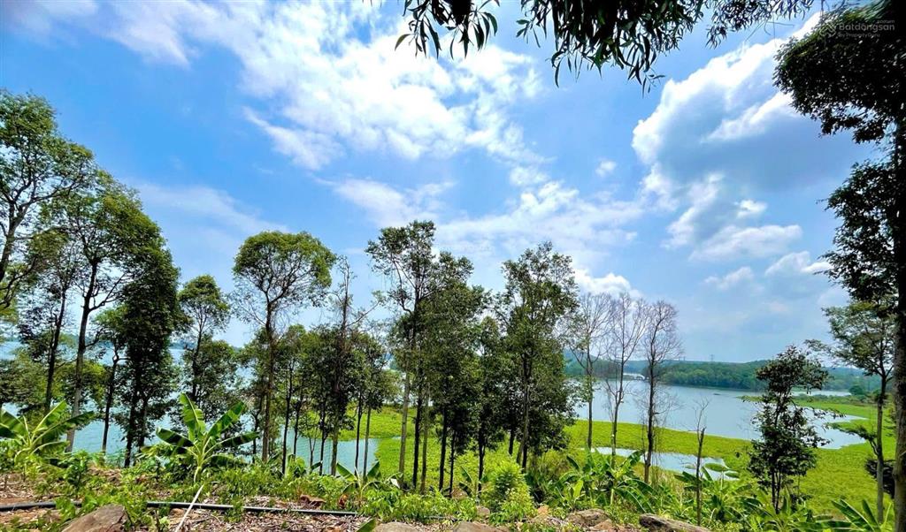 Đất vườn nghỉ dưỡng ngay mặt hồ trị an thở mộng  sẵn vườn cây ăn trái  đường betong rộng rãi