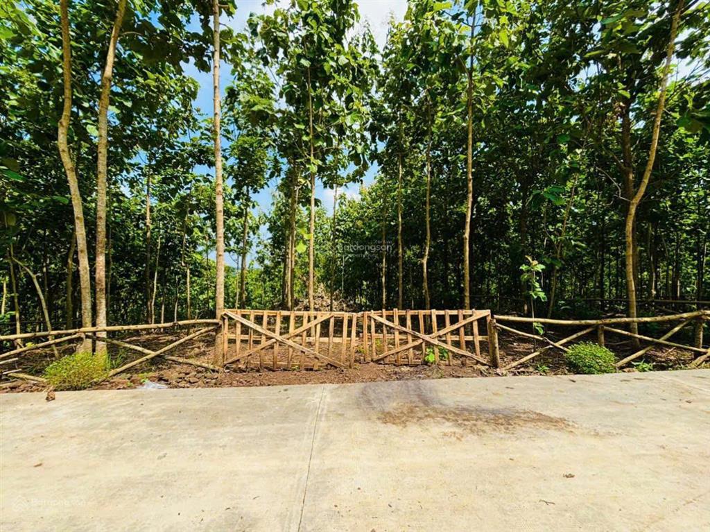 Đất vườn view toàn cảnh panorama  nơi ngắm bình minh và hoàng hôn trọn khoảng khắc