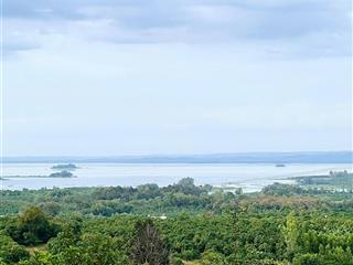 Đất vườn điều cổ thụ view hồ trị an  ngay đường đức huy  giá chỉ 980tr