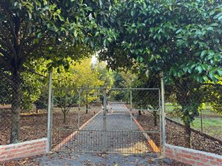 Đất thổ cư có sẵn cây ăn trái diện tích lớn 250m2  500m2  1000m2 full thổ cư gần ngã tư dầu giây