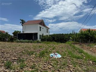 Đất trà kiểm  hoà xuân  đà nẵng  133m2  mặt tiền đường bê tông 5m  cách trung tâm 10km