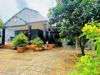 Bán nhà riêng tại đất đỏ, tổng diện tích đất gần 3000m2, sổ hồng riêng, chính chủ