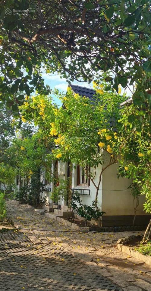 Chính chủ bán khu nghỉ dưỡng bình lập, villa đảo hoa vàng 5.112,8m2 đang kinh doanh ổn định
