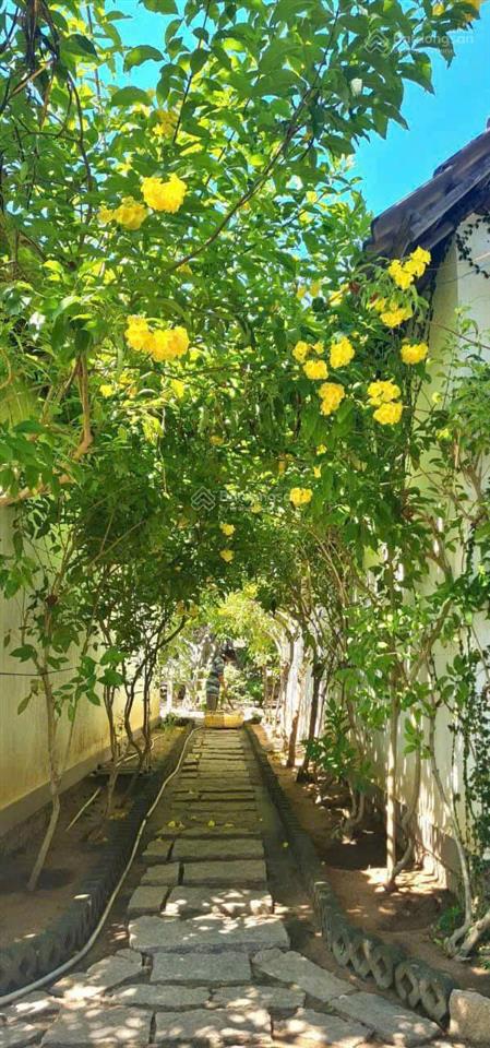 Chính chủ bán khu nghỉ dưỡng bình lập, villa đảo hoa vàng 5.112,8m2 đang kinh doanh ổn định