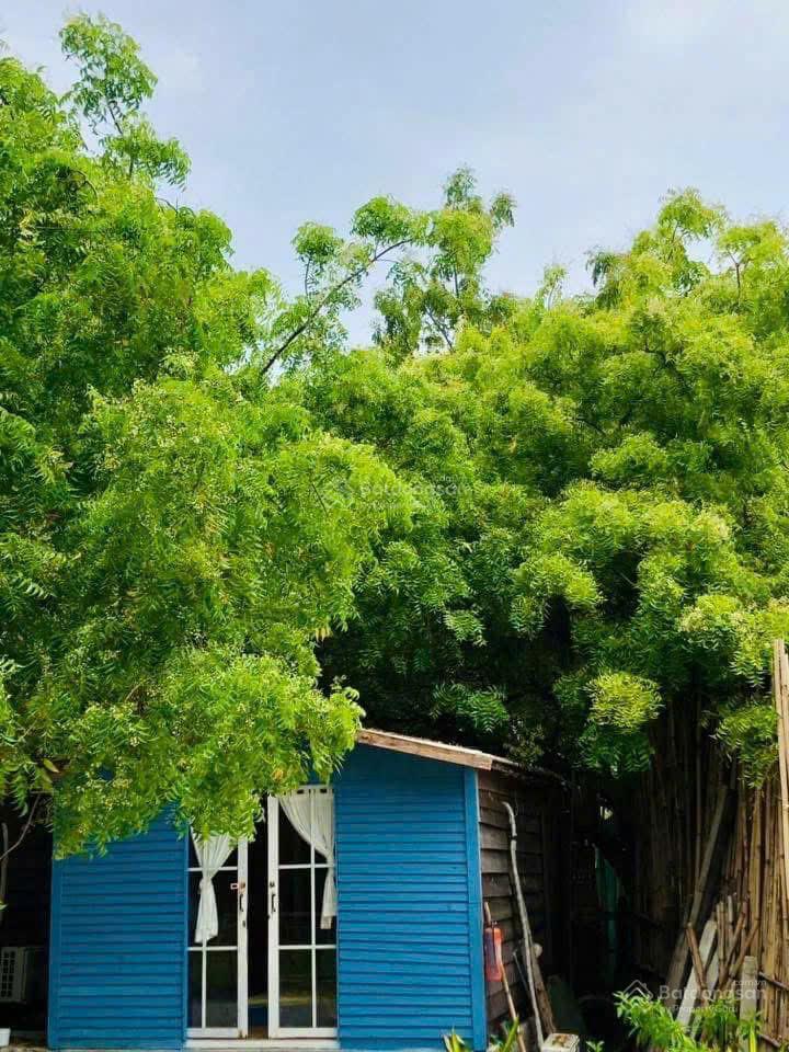 Chính chủ bán khu nghỉ dưỡng bình lập, villa đảo hoa vàng 5.112,8m2 đang kinh doanh ổn định