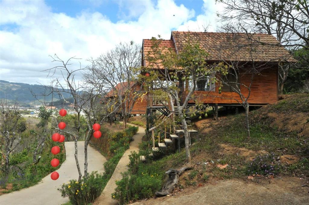 Cơ hội vàng sang nhượng homestay dự án garden tại dran, lâm đồng