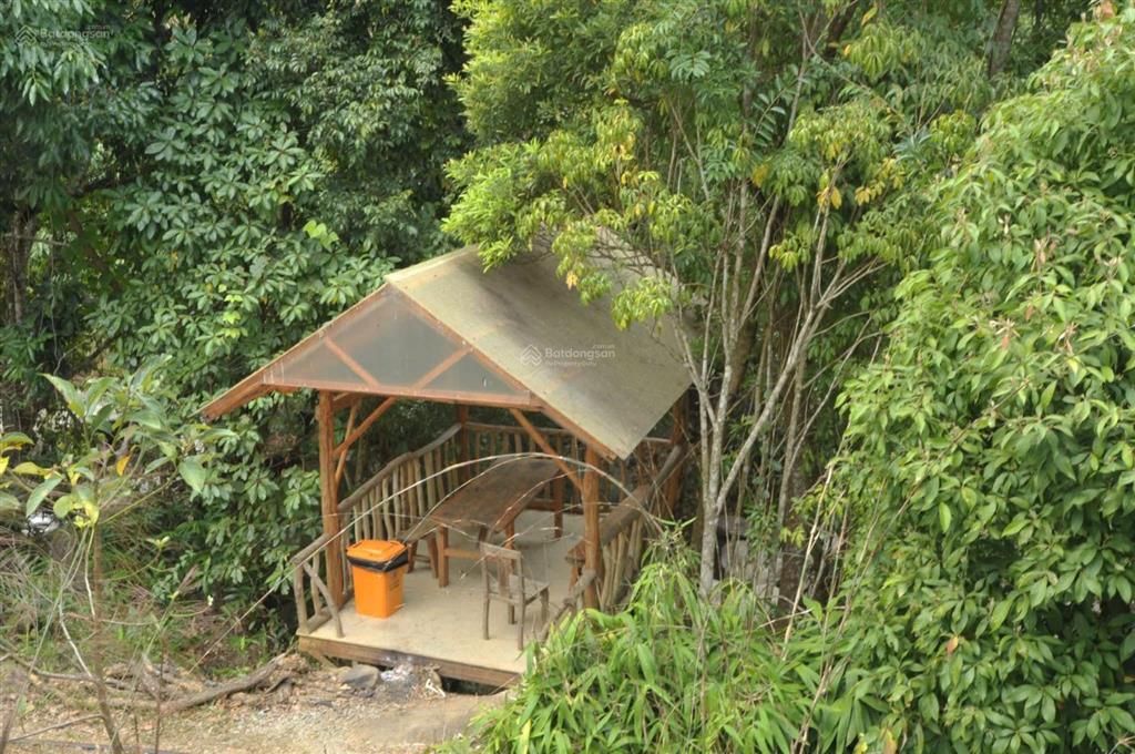 Cơ hội vàng sang nhượng homestay dự án garden tại dran, lâm đồng