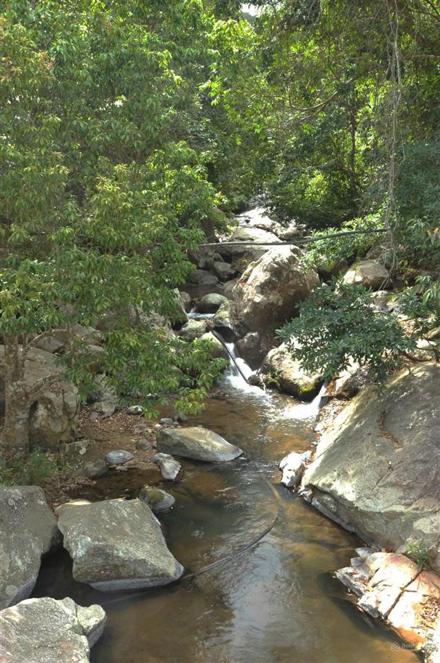 Cơ hội vàng sang nhượng homestay dự án garden tại dran, lâm đồng