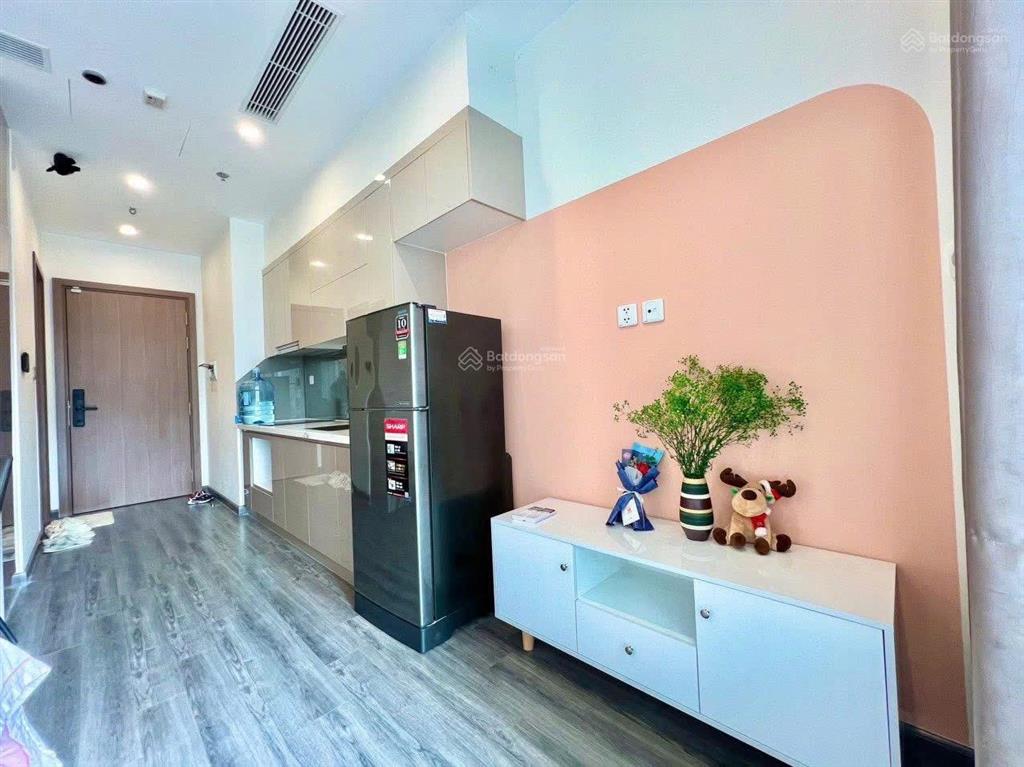 Cho thuê studio toà s2.16 vinhomes ocean park gia lâm gần technopark, nội thất đẹp giá tốt