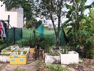 Đất vàng lã xuân oai, long trường, q.9 963m², ngang 20m giá chỉ 117 tỷ, vị trí đắt giá!