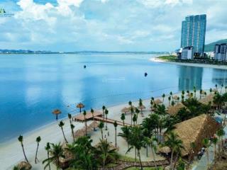 Căn hộ aria bay hạ long  tận hưởng view vịnh, sở hữu lâu dài