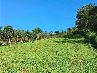 270tr lô đất 1000m2 lộc thành, đất bằng phẳng, sổ hồng riêng, đầu tư siêu lời