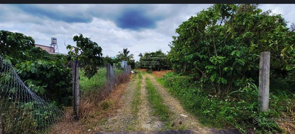 Chỉ còn 1 lô duy nhất đất thổ cư tân lạc, bảo lâm 430 triệu