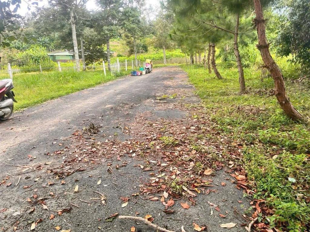 1000m2 lô đất giá rẻ giáp suối không khí mát mẻ đầu tư & nghỉ dưỡng đều hợp