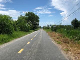 Đường trần văn trà, xã bình phong thạnh, mộc hóa, long an