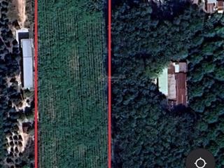 Bán đất tại thạnh tây, tân biên, tây ninh, 2,851 tỷ, 5896.2m2
