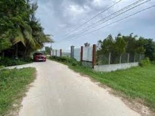 Bán đất full thổ cư trung tâm lộc giang  đường thông thoáng