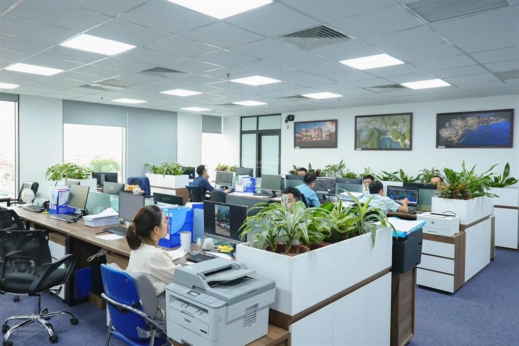 Cho thuê sàn văn phòng hạng a  vinaconex 495c bạch mai, dt 232.5m2.  mr hà 0962 252 ***