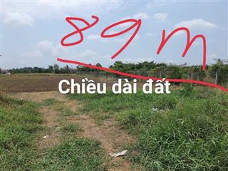 Bán đất vườn chính chủ tại cần đước , long an