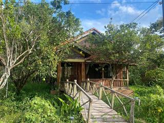 Đầu tư ngay sở hữu đất 1000m2 + bungalow khai thác kinh doanh