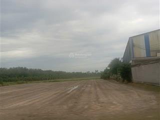 Bán 6,8ha đất rừng tại thôn xuân tự 2, vạn hưng, vạn ninh giá 82 tỷ, cơ hội đầu tư hiếm