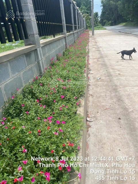 Bán đất 2 mt tl 15, phú mỹ hưng, củ chi 55x80 4.520m² đất trồng cây quy hoạch đất ở giá 56 tỷ