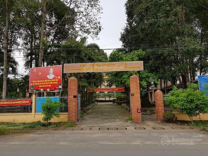 Bán đất 2 mt tl 15, phú mỹ hưng, củ chi 55x80 4.520m² đất trồng cây quy hoạch đất ở giá 56 tỷ