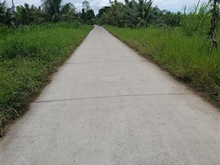 Bán 2,6 công đất vườn dừa gần trường 1, 2, 3 tán kế.
an ngãi trung, vĩnh long (mỹ thạnh, ba tri cũ)