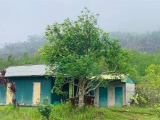 Bán trang trại, khu nghỉ dưỡng tại xã vạn yên, vân đồn, quảng ninh, 14 tỷ, 2400m2