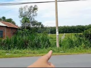 Diện tích 10x200. tổng 2183,5 m2. có 100m2 thổ cư và đất cây lâu năm