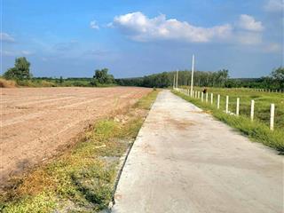 1135m² có thổ cư gần bên kcn hiệp thạnh, tây ninh, đường bê tông chỉ 840tr.