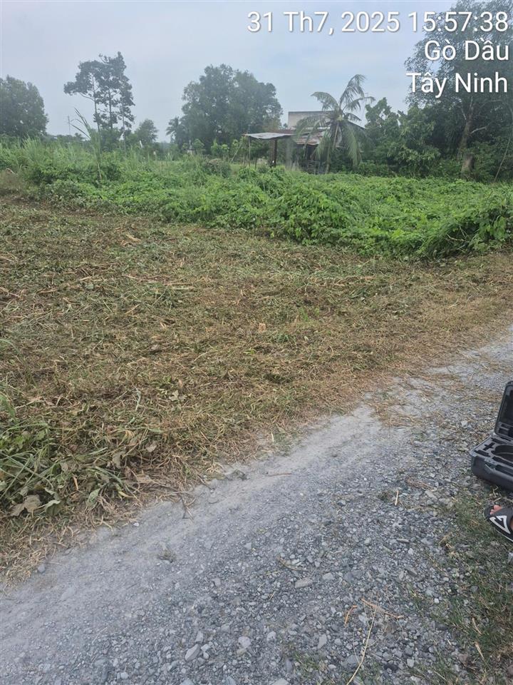 Một lô duy nhất 1 sẹc cầy niêu sát kcn hiệp thạnh, tây ninh 5*23m có tc chỉ 390tr