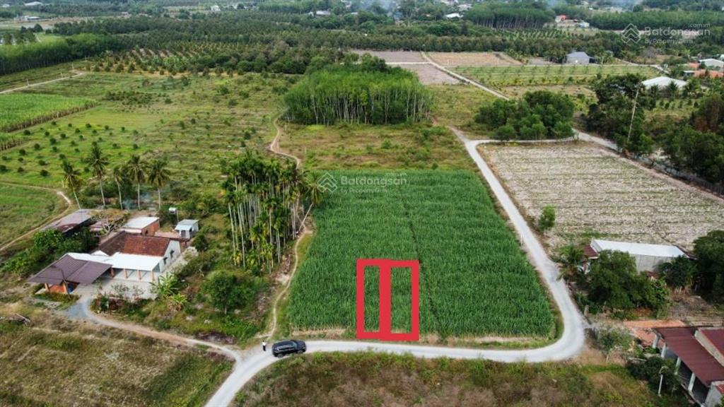 Một lô duy nhất 1 sẹc cầy niêu sát kcn hiệp thạnh, tây ninh 5*23m có tc chỉ 390tr