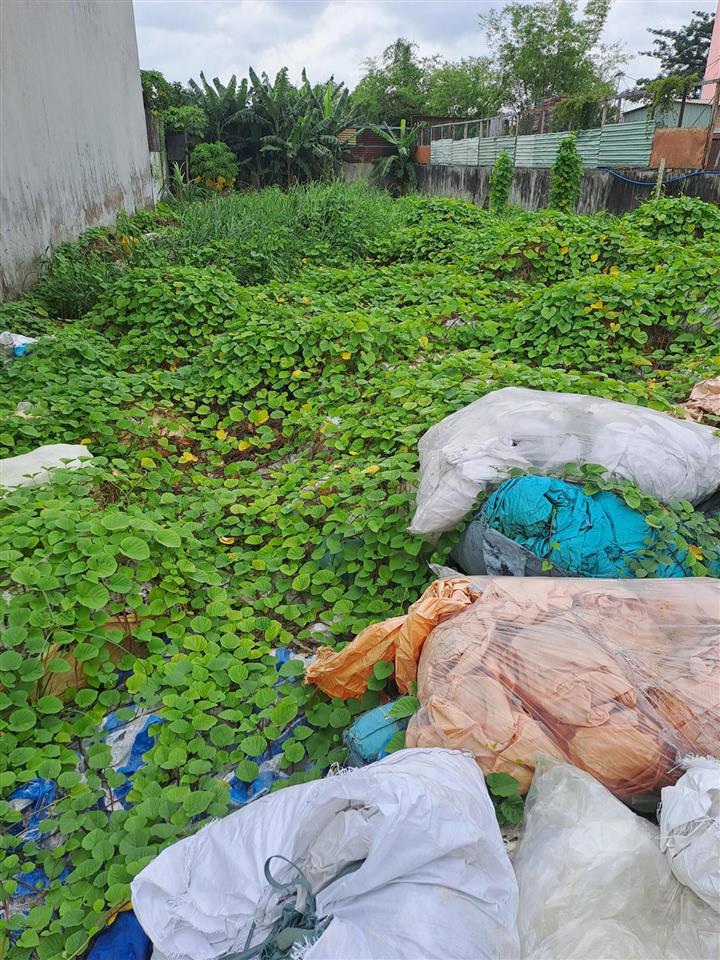 Chính chủ bán đất mặt tiền dương công khi, 500m vuông, thổ cư, 10x50. vị trí đẹp.