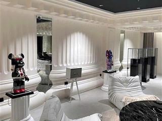 Bán nhà góc 2 mặt tiền bà hạt, p4, quận 10 , dt 4,1x20m 5 tầng, giá bán 23 tỷ