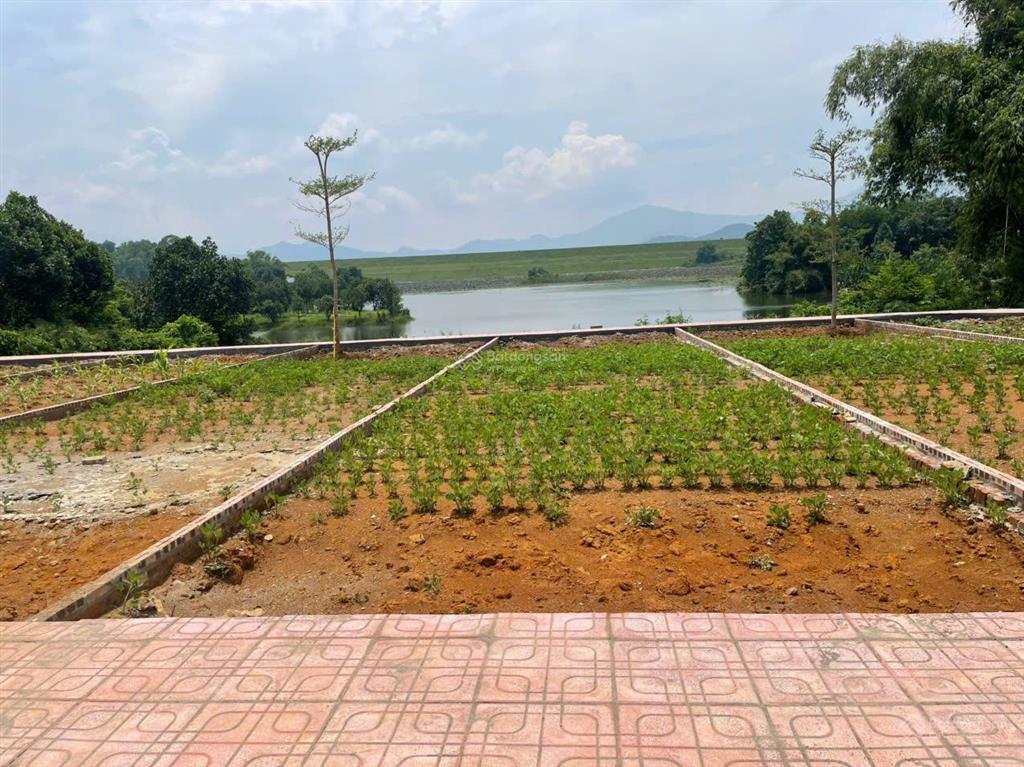 Cc gửi bán đất tại kim sơn, sơn tây, hà nội, 2 tỷ, 100m2, mặt tiền 5m