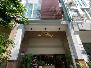 Bán nhà phố kinh doanh khu phú mỹ hưng quận 7  hưng gia 4