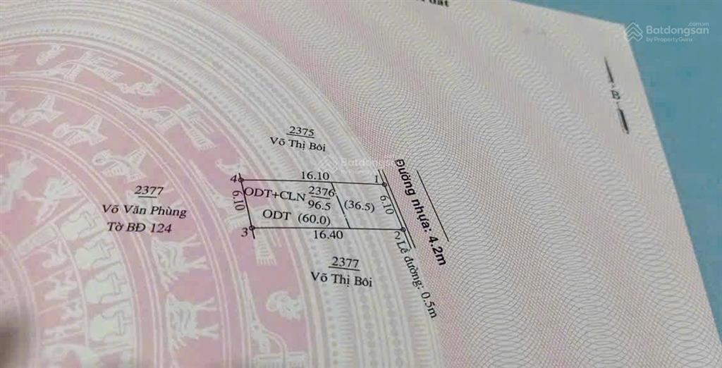 1.65 tỏi bl. /dx 132 tân an. chủ ngộp