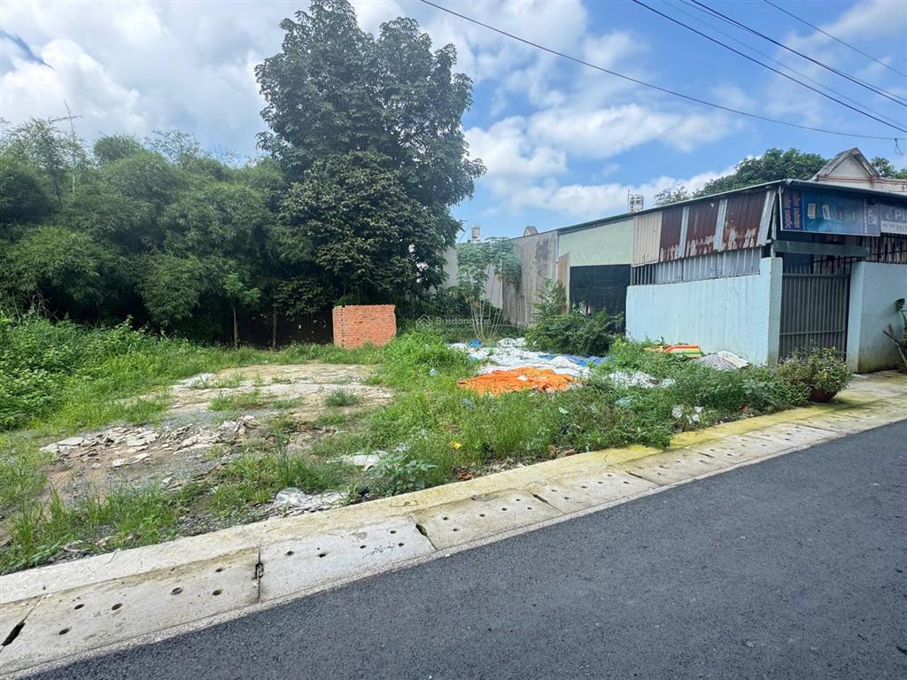 1.65 tỏi bl. /dx 132 tân an. chủ ngộp