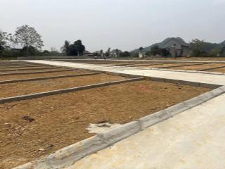 Cần tiền bán gấp 165tr/110m2 nhanh tay thì còn ạ
