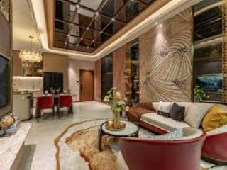 The privé song hành, quận 2, hcm 45m 1pn (45m2 1br for sale to foreigners)