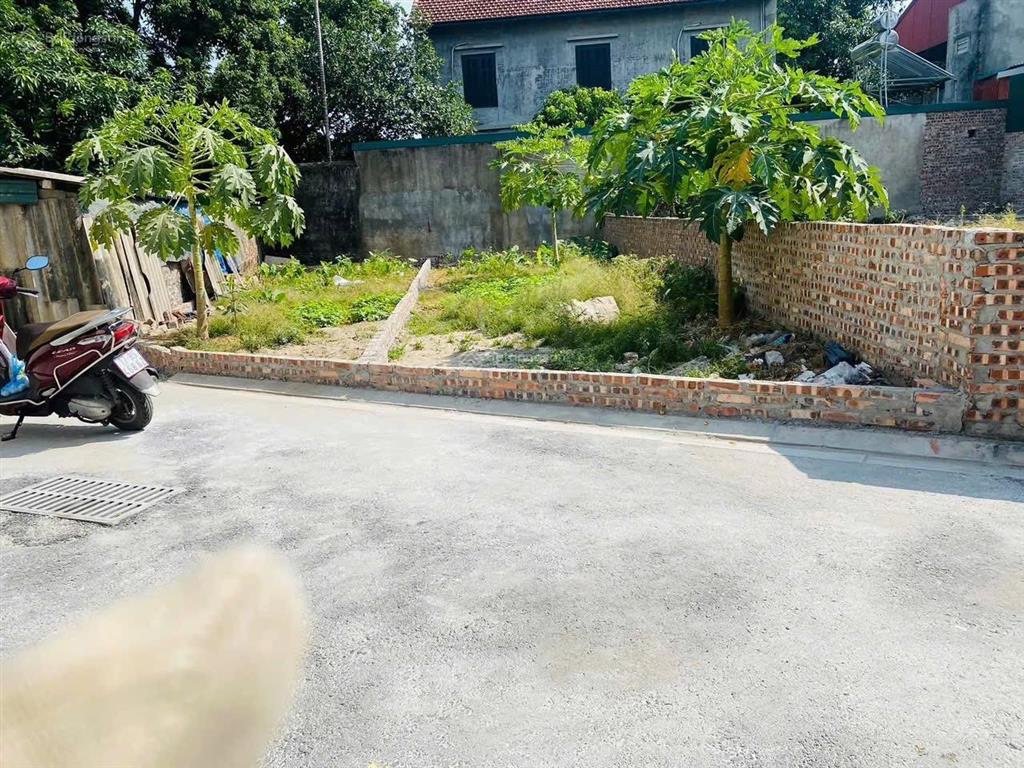 Bán đất 61m2 đa tốn gia lâm, giá chỉ 4 tỷ 550tr