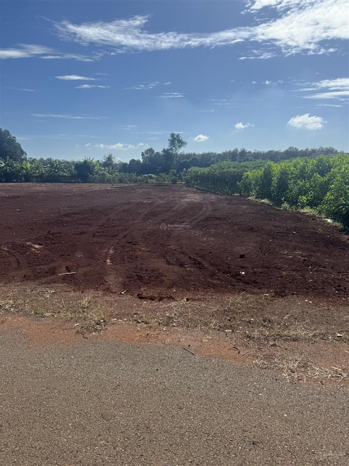 Cần bán gấp lô đất 900m2 xã long phước nay phường tam long