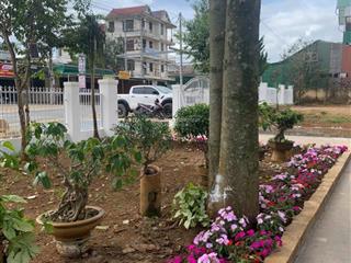 Bán đất 4000m2 tặng biệt thự 600m2 thổ cư