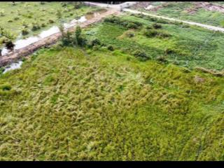 Bán đất đẹp tại long phước, 62 tỷ, 2488 m2, view cực chất