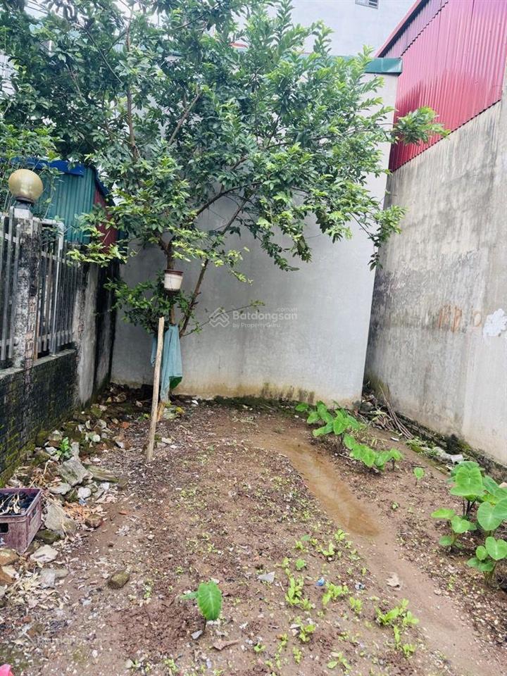 Nhỉnh 4 tỷ lô góc 40m2 ô tô vào nhà gần chợ trường học cấp 1, 2, 3 gần tòa rubi khu vực còn 1 lô