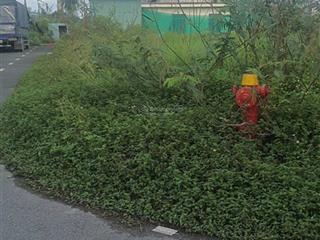 Bán lô đất full thổ cư giá rẻ ngay ngã 3 lò lu nguyễn xiển hàng xóm vinhome